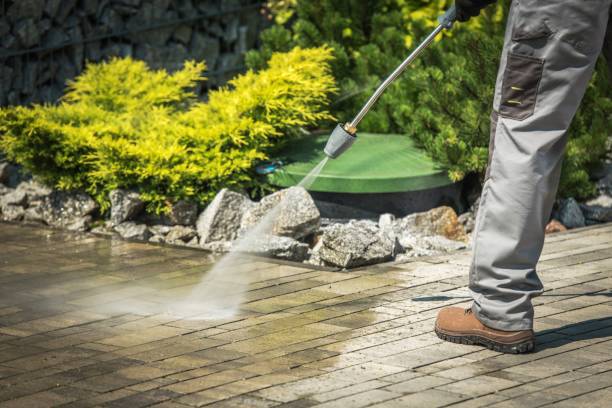 Best Soft Washing  in Cortland, NY