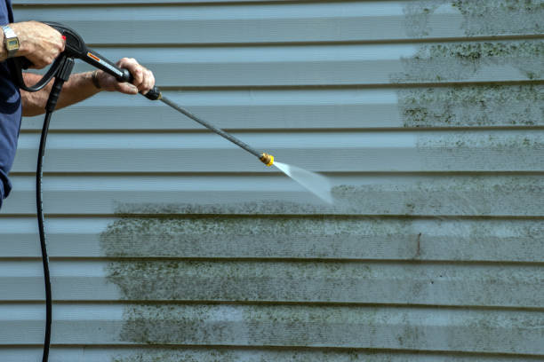 Best Solar Panel Cleaning  in Cortland, NY