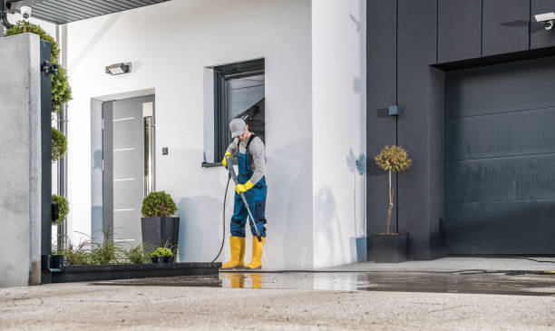 Best Fleet Vehicle Washing  in Cortland, NY